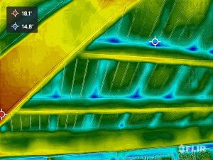 Warmtescan beeld - Isolatie Advies